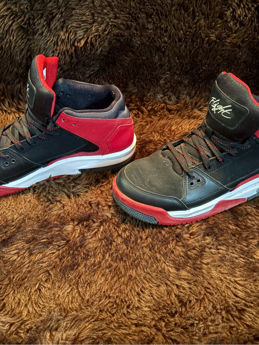 Jordan Flights - Picture 2 of 5
